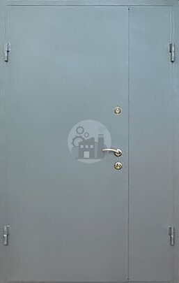 Техническая двустворчатая дверь из металла, окрас нитроэмаль-ДВ-983